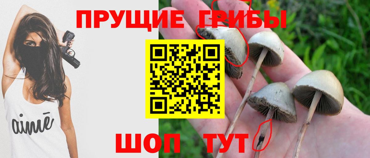 Галлюциногенные грибы Psilocybine cubensis Верхняя Салда
